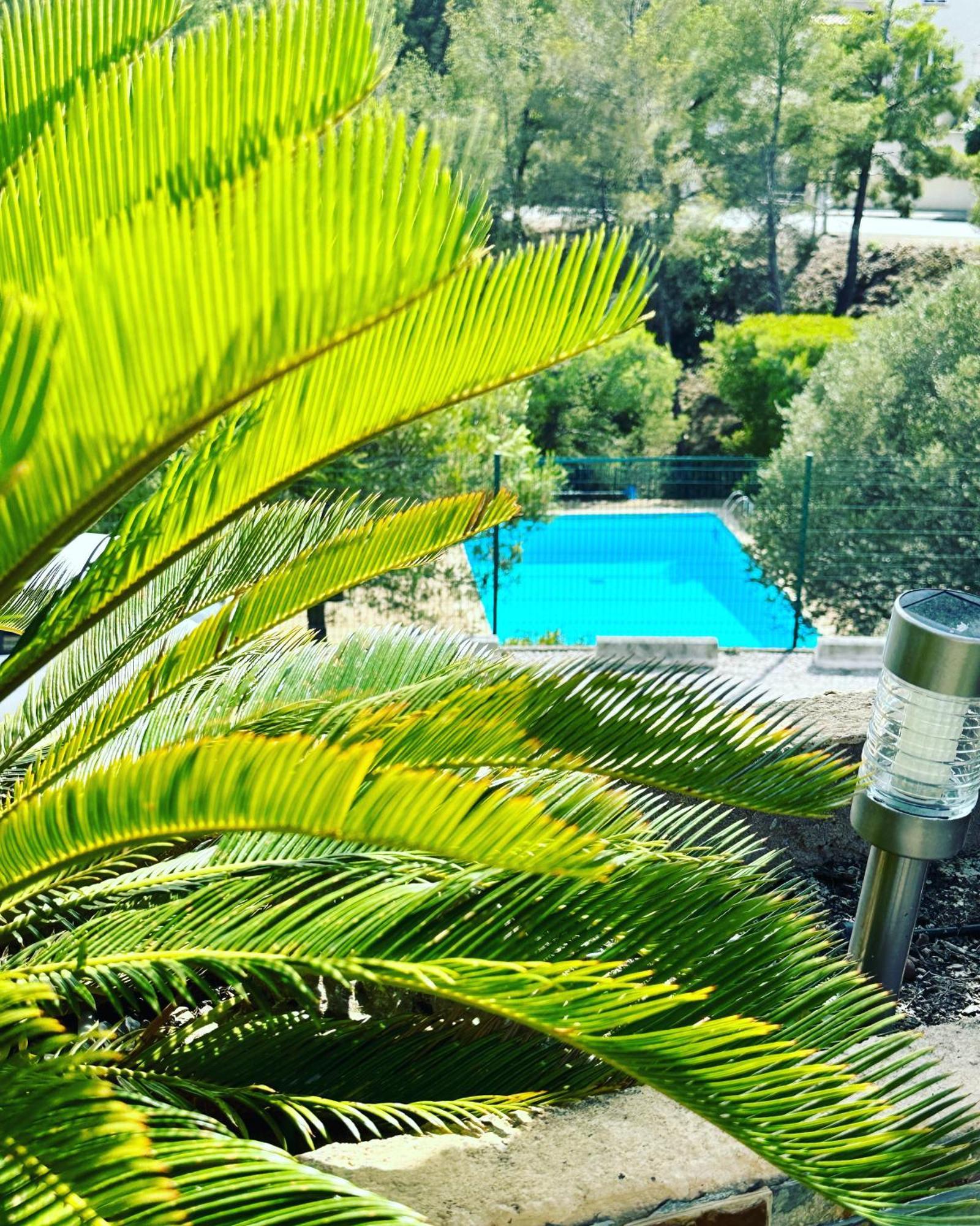 Vuemer Bandol - Grande Terrasse De 45M2 Vue Mer Piscine Parking 外观 照片